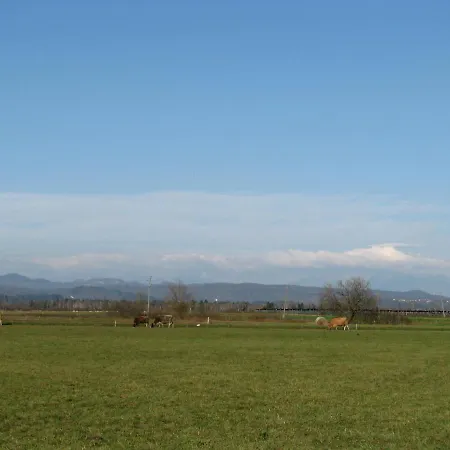 アパート Apartma Juha - Breg pri Borovnici