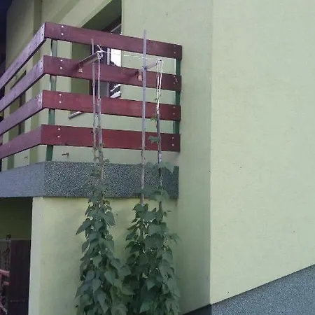 Apartma Juha - Breg pri Borovnici