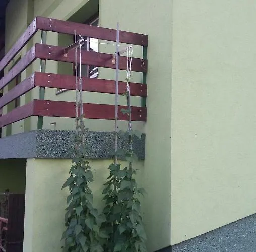 Apartma Juha - Breg pri Borovnici