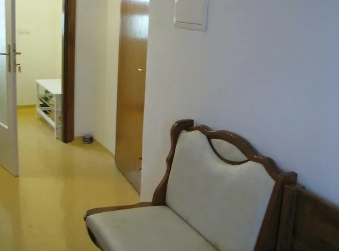 Apartma Juha - 公寓