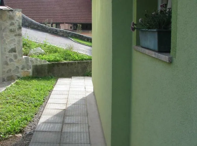 公寓 Apartma Juha - *